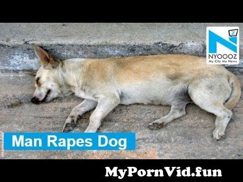 Man Rapes Dog Porn