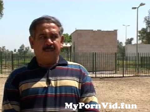 Porn zoo in Baghdad