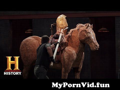 Horse Damascus of porn in Horse Porn