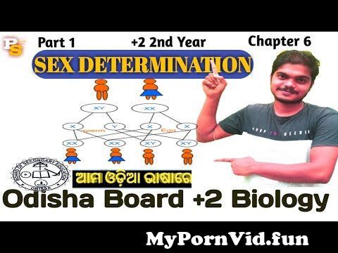 View Full Screen: sex determination in odia part 1 124 syllabus 124 2 2nd year 124 chse board 124 by pradeep sir.jpg