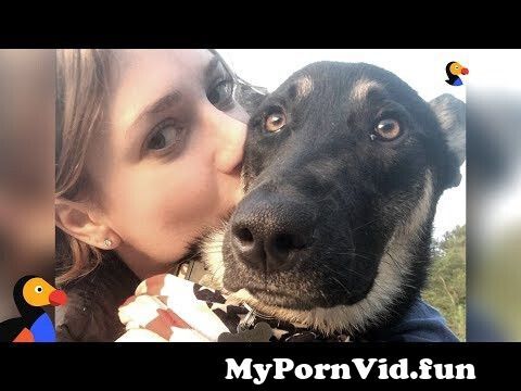 Animals sex video in in Delhi