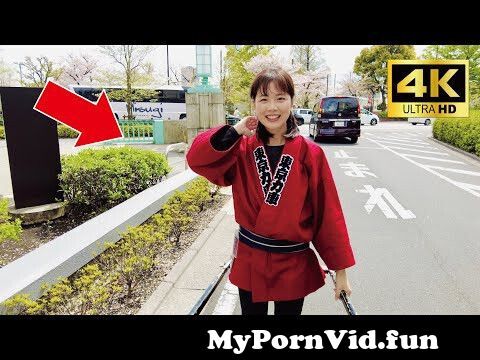 A cute Japanese girl Misa-chan guided me around spring Asakusa by rickshaw😊@Japanese_girl_Misa ​ from chan mir hebe 95 Watch Video - MyPornVid.fun