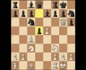 THE KINGS OF CHESS