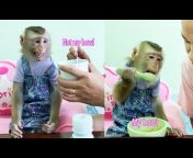 LYLY - you baby monkey