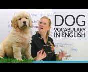 English with Ronnie · EnglishLessons4U with engVid