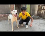 Mahad Pets Vlog