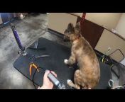 Rover&#39;s Makeover Dog Grooming
