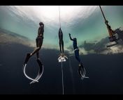 VB Freediving