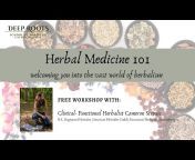 Deep Roots School of Foraging u0026 Herbal Medicine
