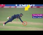 Cricket Best Clips