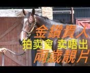 新東方之珠HK Horses