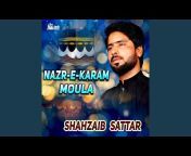 Shazaib Sattar - Topic