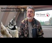 Phil Gower Bird Photography