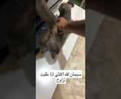 مشاري الشريمي. animal lover