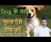 Ramawat Dog Care