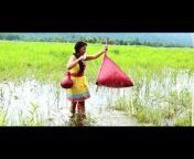 New Assamese Songs