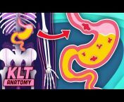 KLT Anatomy