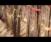 나무농원 설까치 임실농업회사법인 주 종묘