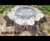 Anthill Art