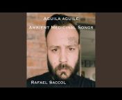 Rafael Saccol - Topic