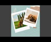 Relaxing Music for Dogs - Topic