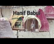 Hanif Babul