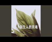 藏辰锟 - Topic