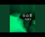 DJ铁柱 - Topic
