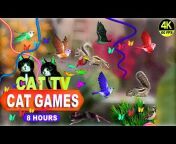 Cat Games Official