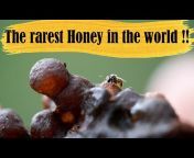 Wild Honey Hunters