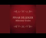 Pınar Dilşeker - Topic