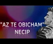 Necip Official