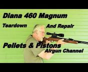 Pellets And Pistons Airgun Channel