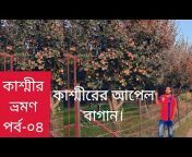 Bangalir Golpo vlogs