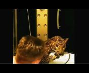 Leopard Caesar