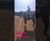 Alivahedi_Horsetrainer
