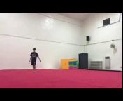 Insane Acrobatics