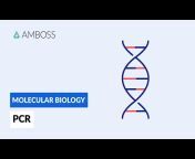 AMBOSS: Medical Knowledge Distilled