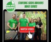 Veseys Seeds u0026 Bulbs