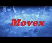 Movex S.p.A.