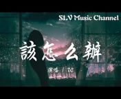 SLV Music Channel