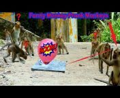 Monkey TV2