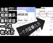 tiktokcoin.pro官方授权频道