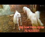 Raj Goat Farm Ajmer