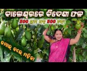 E- farming Odisha