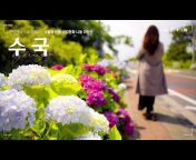 빛나는제주TV-제주특별자치도 공식 유튜브