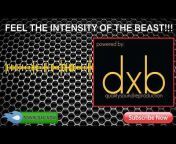 DXB AUDIO Customs [basta dxb doble]