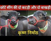 Viraj Dairy u0026 Farming
