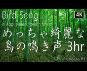 景音JAPAN【癒しのLandscape u0026 Soundscape with 4K】