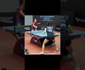 Seghos Table Tennis